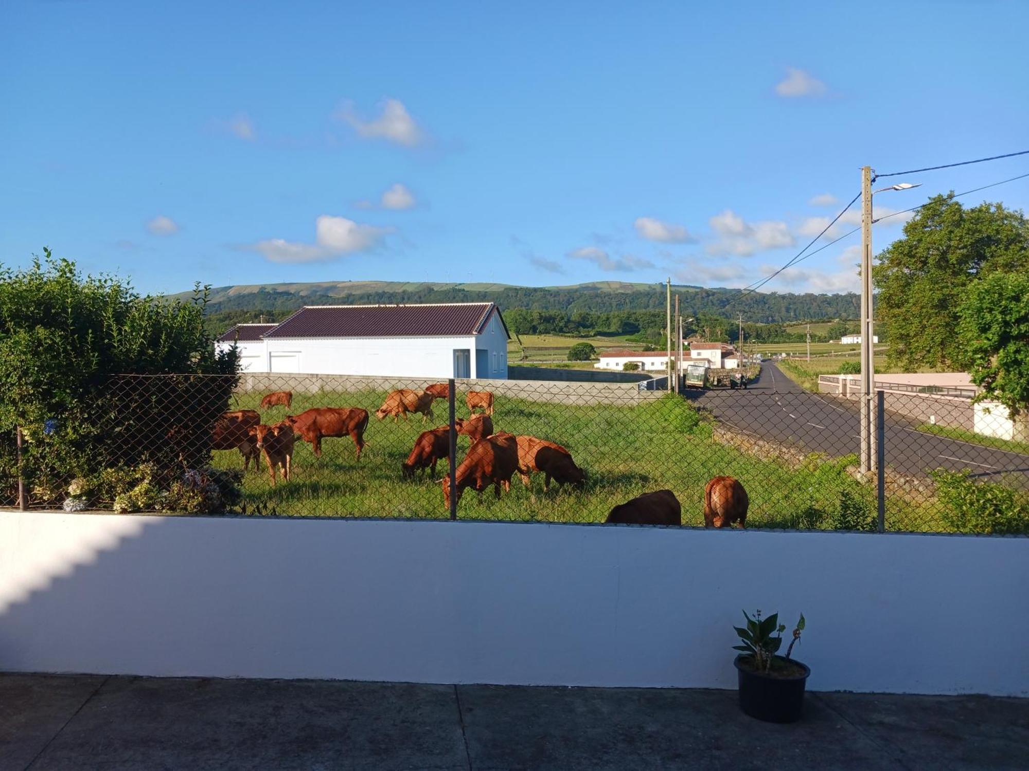 Ferienwohnung O Postigo Praia da Vitória Exterior foto